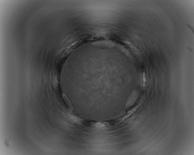 X0000091850566200709121313