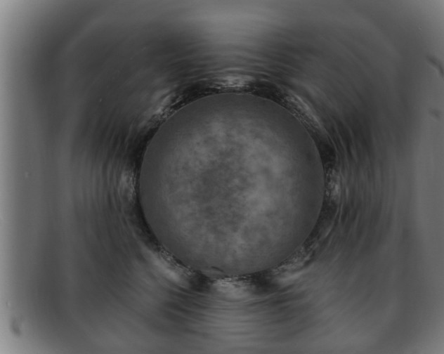 X0000091850568200709121313