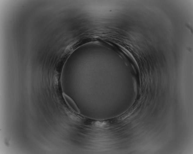 X0000091850570200709121313