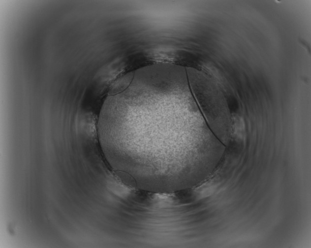 X0000091850573200709121313