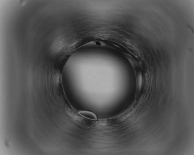 X0000091850574200709121313