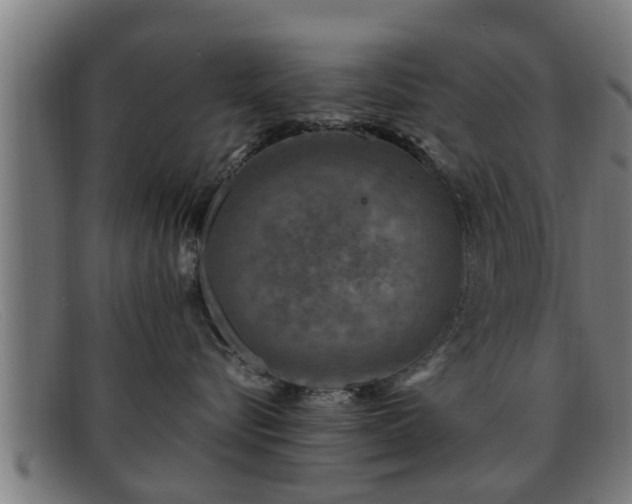 X0000091850576200709121313