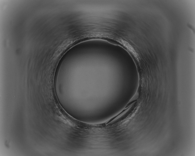 X0000091850577200709121312