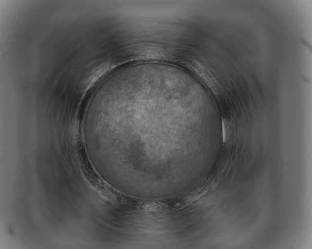X0000091850579200709121312