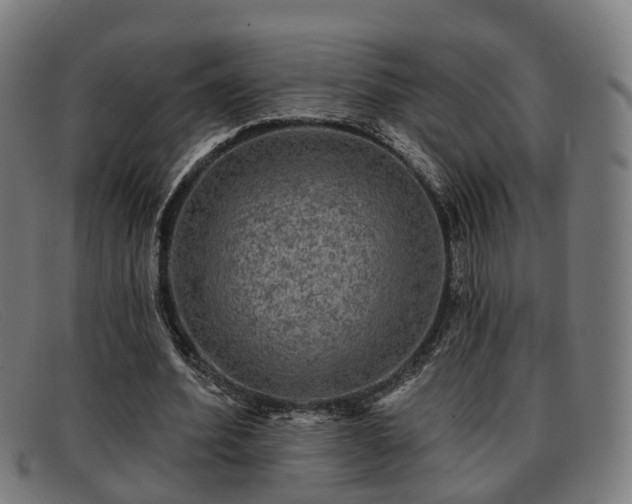 X0000091850580200709121312