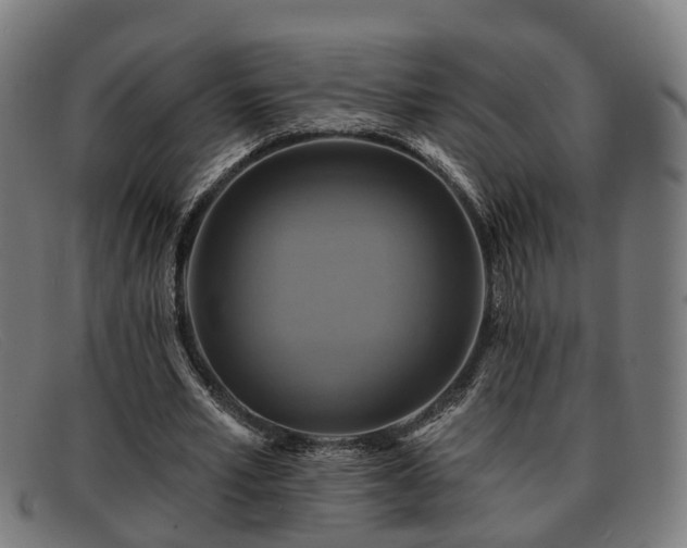 X0000091850581200709121312