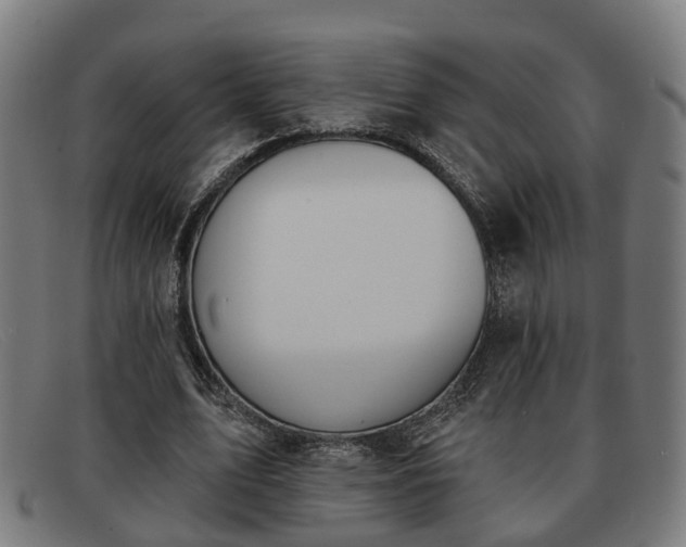 X0000091850583200709121312