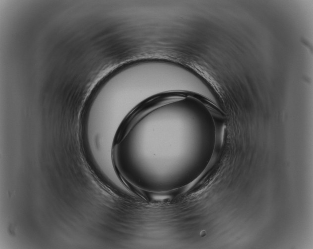 X0000091850584200709121312
