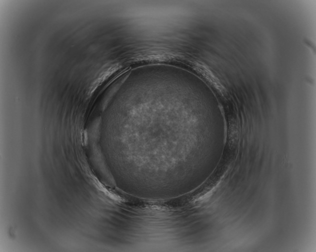 X0000091850585200709121312