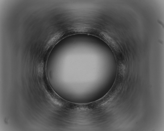X0000091850586200709121312