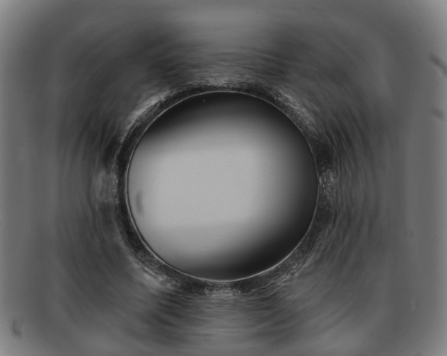 X0000091850587200709121312