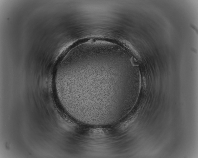X0000091850588200709121312