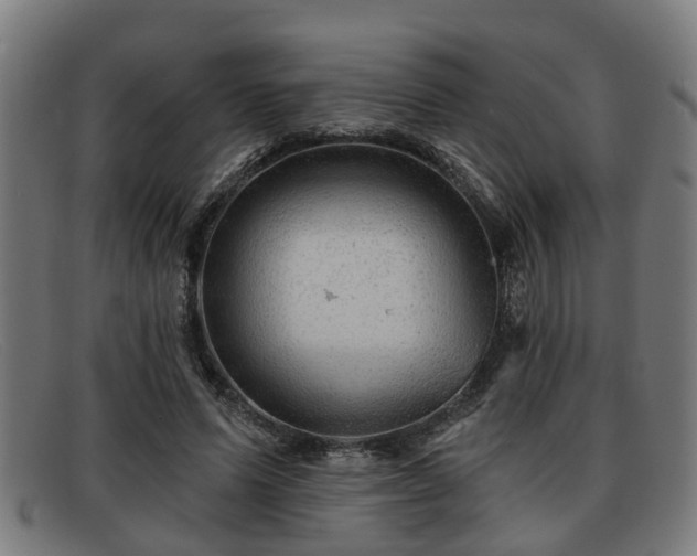 X0000091850591200709121312