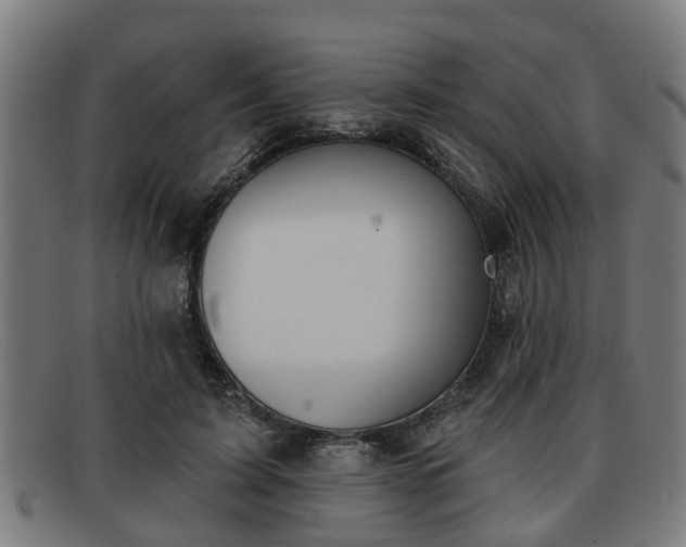 X0000091850595200709121312