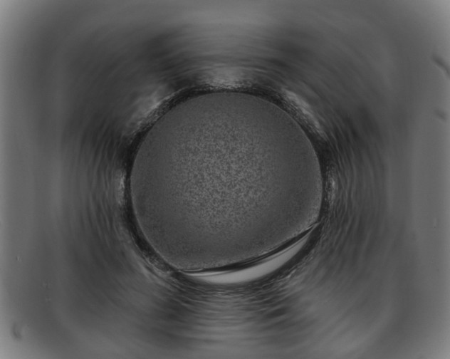 X0000091850596200709121312