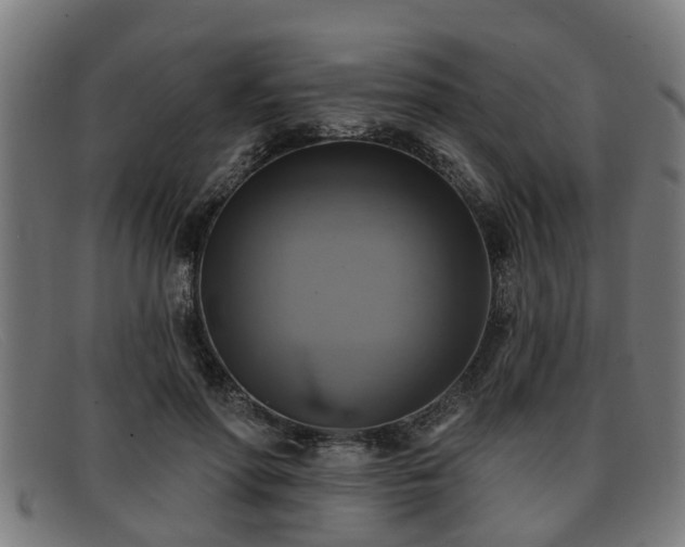 X0000091850598200709121312