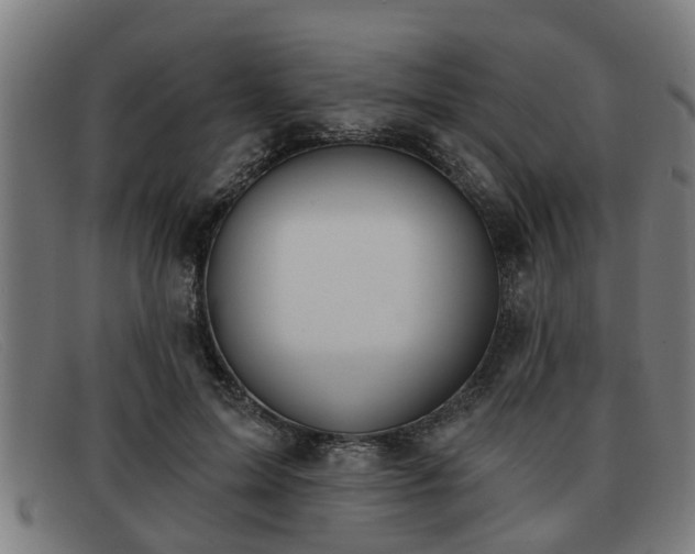 X0000091850599200709121312