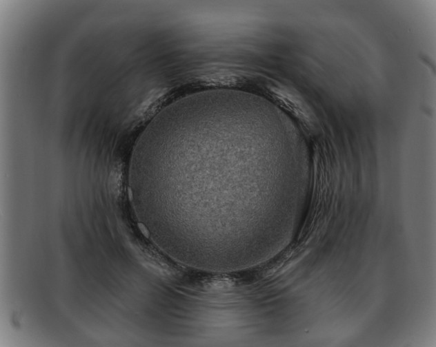 X0000091850600200709121312