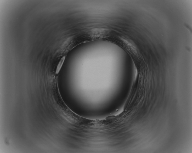 X0000091850601200709121312
