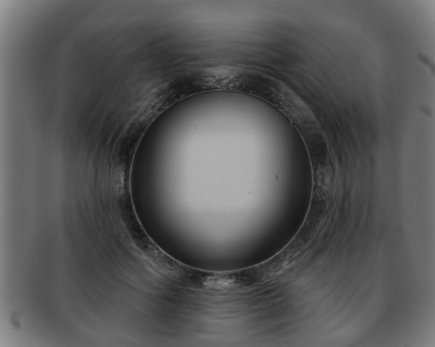 X0000091850602200709121312