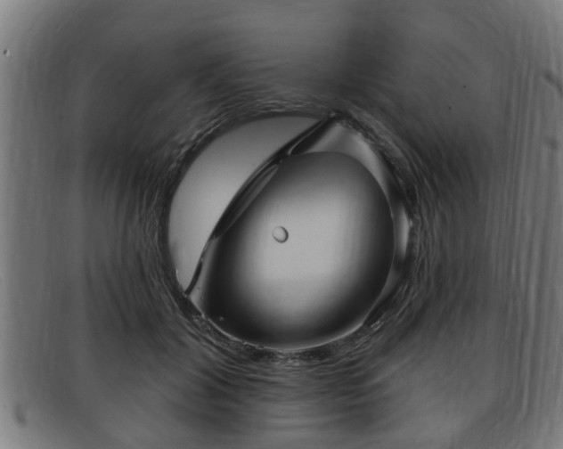 X0000091850604200709121312