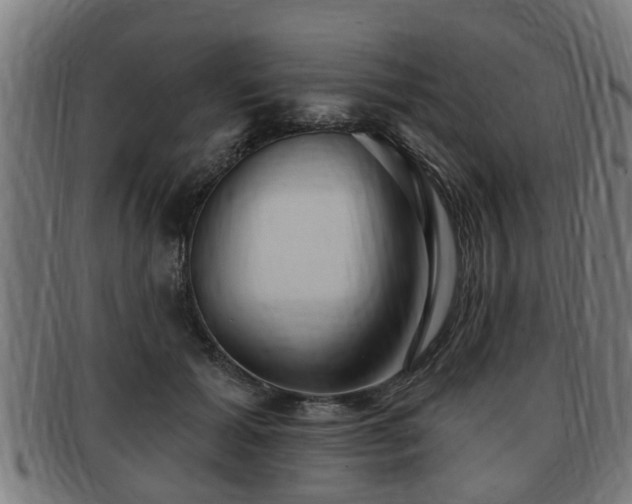 X0000091850605200709121312