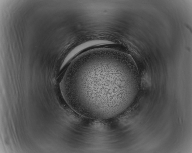 X0000091850608200709121312