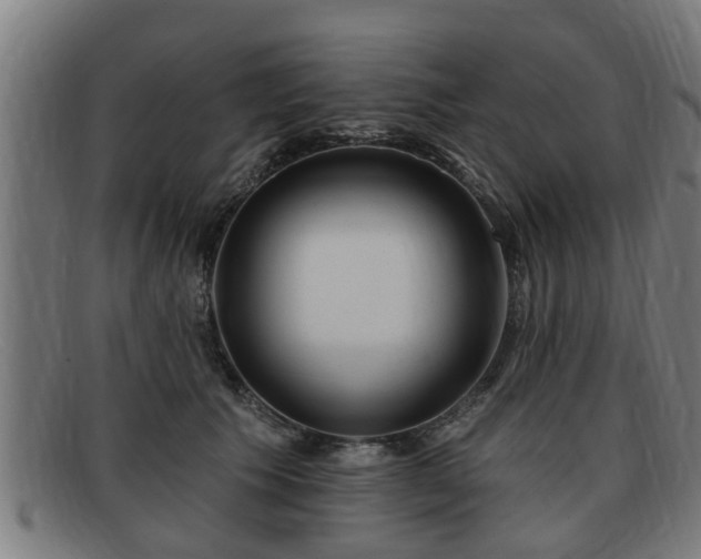 X0000091850609200709121312