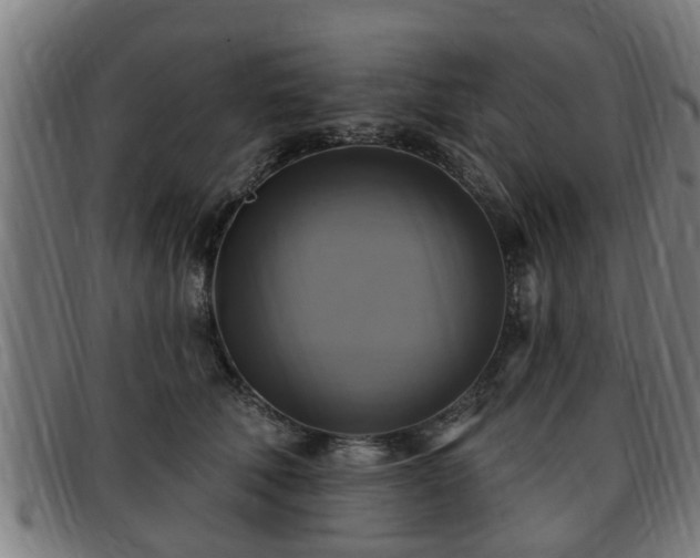 X0000091850610200709121312