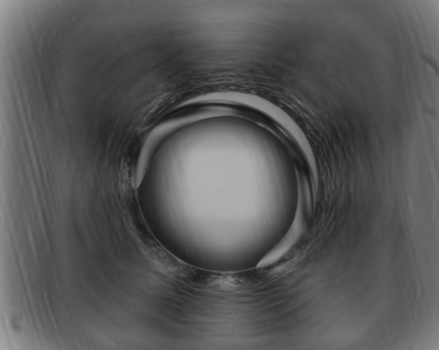 X0000091850611200709121312