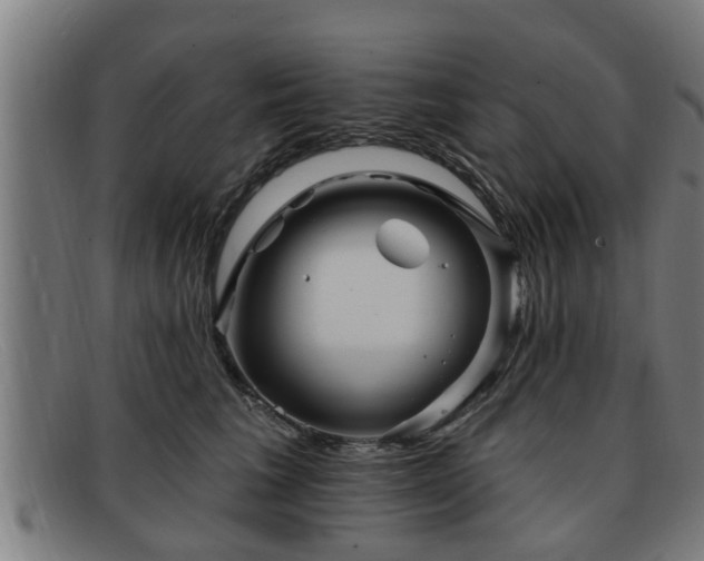X0000091850613200709121312