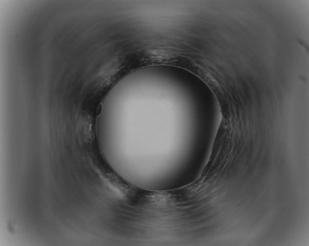 X0000091850615200709121312