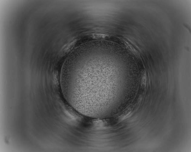 X0000091850616200709121312