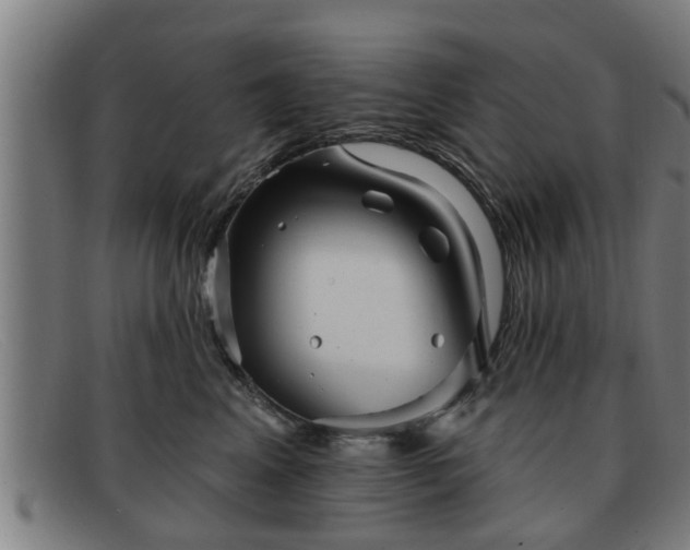 X0000091850617200709121312