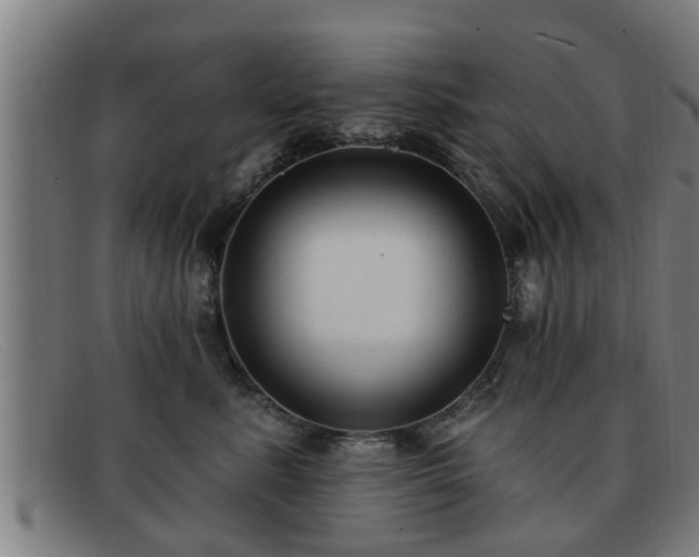 X0000091850619200709121312