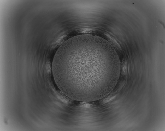 X0000091850620200709121312
