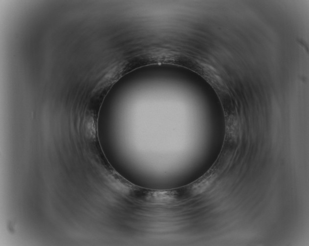 X0000091850622200709121312