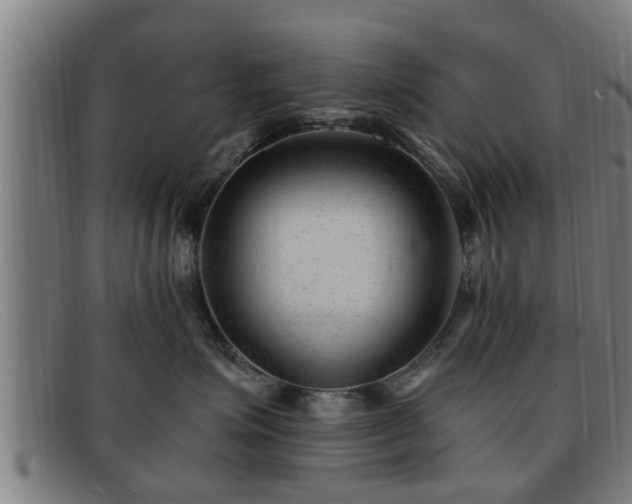 X0000091850623200709121312