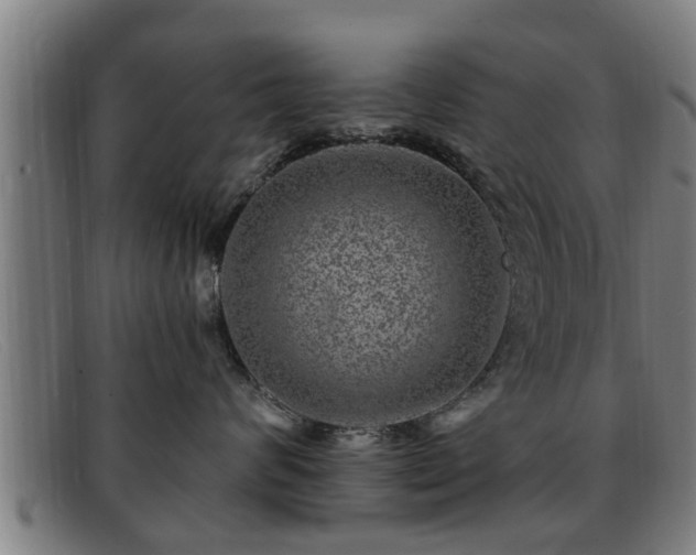 X0000091850624200709121312