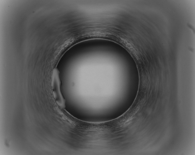 X0000091850625200709121311