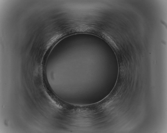 X0000091850626200709121311