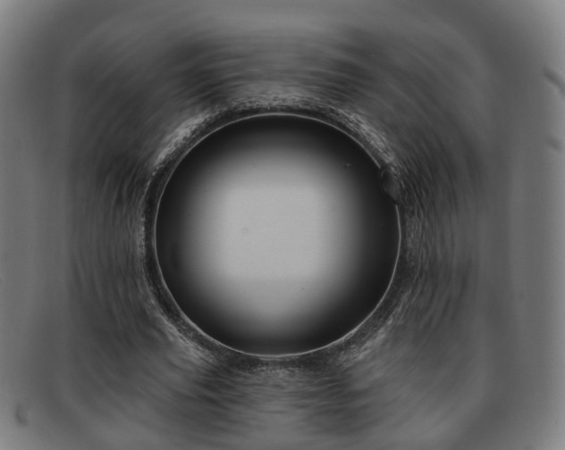 X0000091850629200709121311