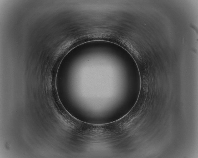 X0000091850631200709121311
