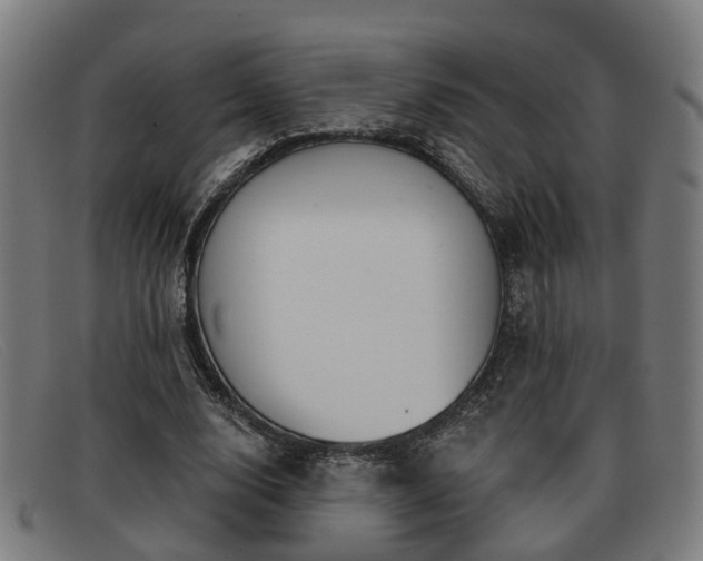 X0000091850632200709121311