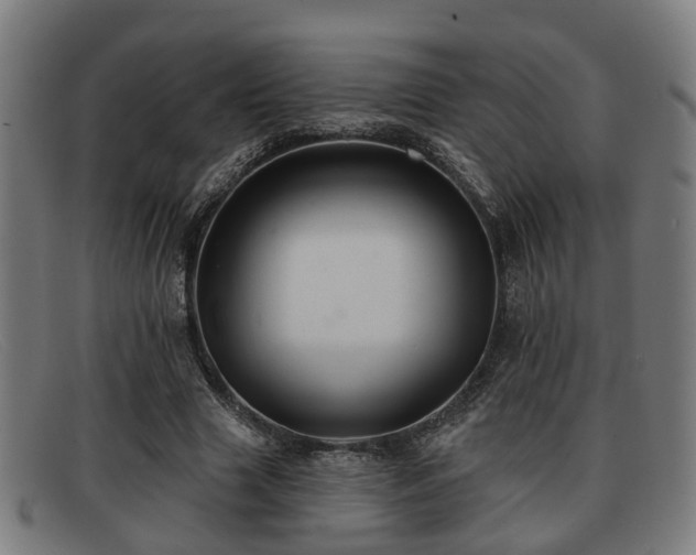 X0000091850633200709121311