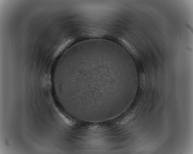 X0000091850634200709121311