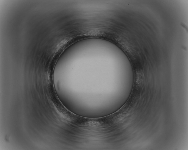 X0000091850636200709121311