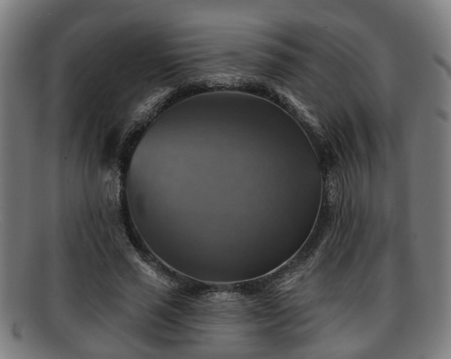 X0000091850637200709121311