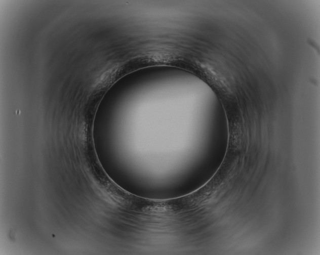 X0000091850639200709121311