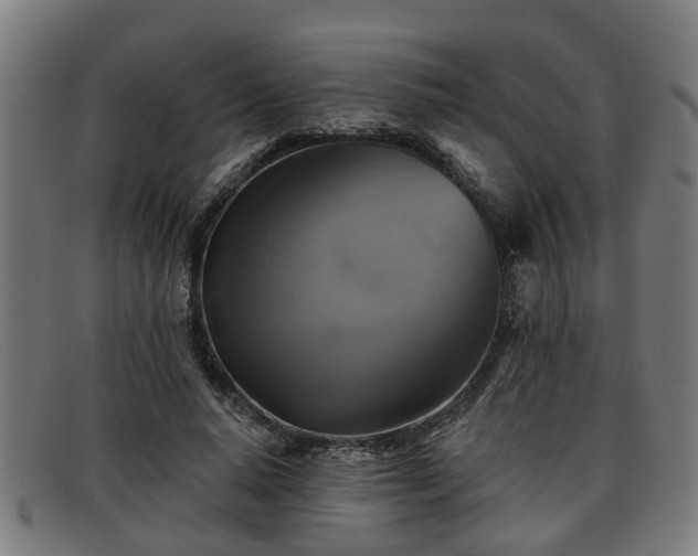 X0000091850640200709121311